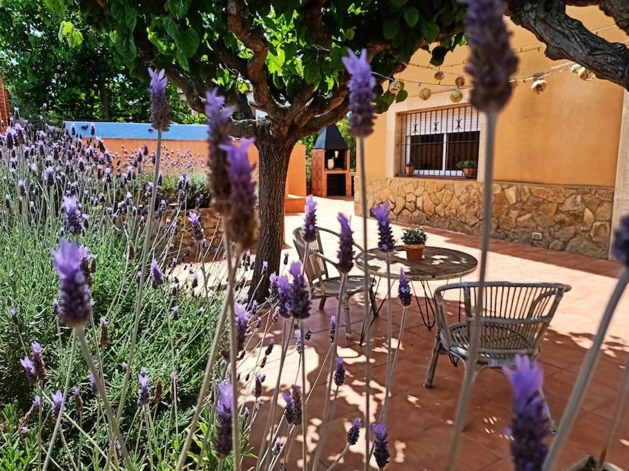 Вілла Mas Del Vent- Barbacoa, Jardin, Piscina Privada Y Vistas A Mar Куніт Екстер'єр фото